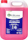 Ready for Use Engine Coolant for Car -15°C Red 4lt