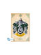 Abysse Harry Potter Slytherin Макси Плакат 91.5x61 Abydco777