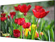 Hikvision DS-D2046LU-Y Public Display LCD 4K UHD 46"