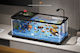 Fish Aquarium Capacity 43lt with Filter and 53x28cm