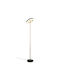 Trio Lighting Guano LED Floor Lamp H160xW30cm. 2100lm Brown