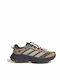 adidas Terrex Men's Hiking Shoes Multicolour