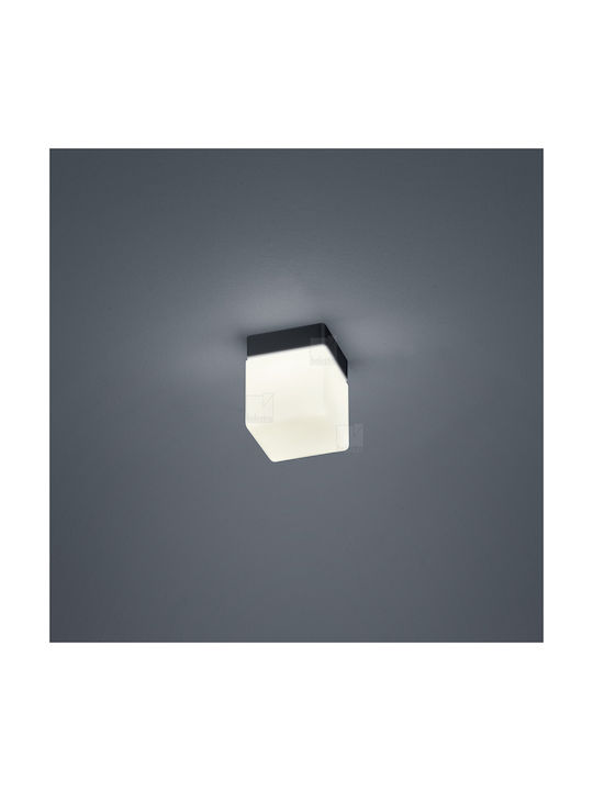 Helestra Таванно осветление Баня 12.5бр LED Helestra Таванно осветление Баня 12.5бр LED