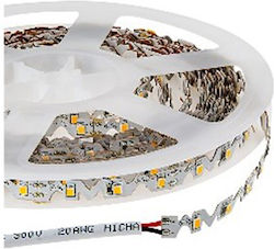 Universe Ταινία LED 24V Θερμό Λευκό Universe Ταινία LED 24V Θερμό Λευκό