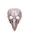 Plastic Mask Bird Nose Brown Elastic Carnavalista 232689