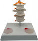 Oem Lumbar Spine Medical Training Manikin 17cm White