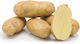AgriMore Samen Kraut 25kg