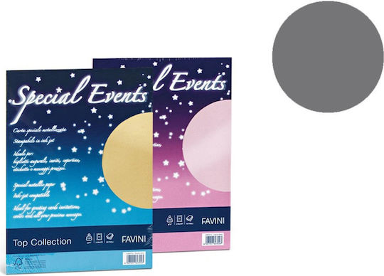 Favini Series Se 10 Envelopes 120g/m2 Silver 03 11x22 C4