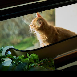 Katzenbett Fensterbefestigung Fensterhängematte Beiges 72x25x15 cm Lounger