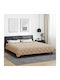 vidaXL Плик за Завивка Кинг Сайз 240x260 Taupe