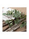 Eukalyptus Zweigstelle Künstlich Grün 92cm