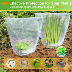 Set 25 Collars 25 Nets Plant Protection Against Slugs Insects Set 25 Collars 25 Nets Plant Protection Against Slugs Insects