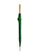Automatic Rain Umbrella with Walking Stick Green