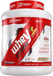 Immortal Nutrition Whey Protein + Creatine Immortal Nutrition Whey Protein + Creatine