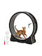 Vevor Black Cat Toy