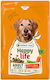 Happy Life 2.5kg Trockenfutter für erwachsene Hunde mit Rindfleisch, Kalb, Fleisch, Huhn, Lachs und Gemüse