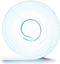 Ibiza Sound Tainie LED Rezistentă La Apă 12V Alb Rece 5m