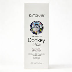 Șampon Reconstrucție/Hrană 100ml Șampon Reconstrucție/Hrană 100ml