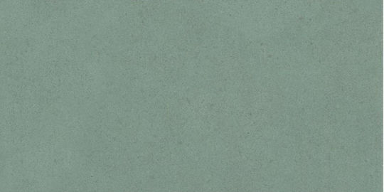 Placă Perete Interior Ceramic Mat 60x30cm Olive