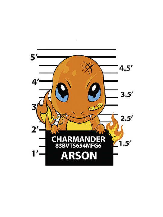 Poster Pokemon Charmander Mugshot An162 21cm X 30cm