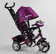 Music Lights with Parental Handle Purple