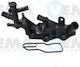 Thermostat Renault Nissan 460244