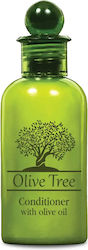 Olive Tree Conditioner Bottle 40ml
