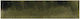 Fliese Boden / Wand Innenbereich 24.6x6cm Olive