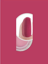 D.p Color 10g N 4