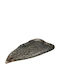 Fylliana Vintage Metallic Decorative Platter Fl800 Silver 44x25x3cm