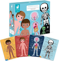 Janod Cards