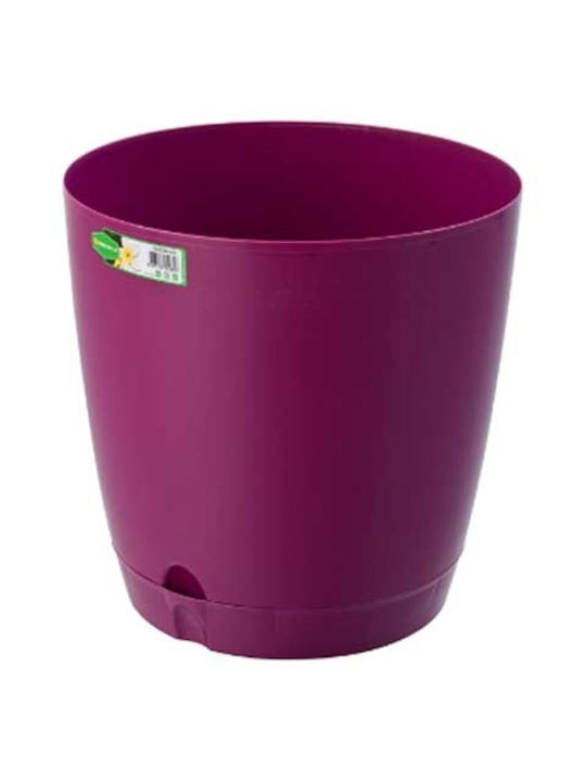 Raki Γλάστρα Purple 15x13.5εκ.