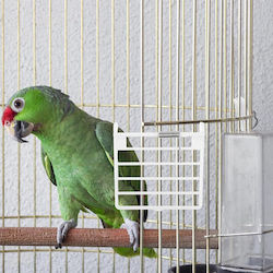 Cage Doors Pigeons 3 Pcs Plastic One-way Entry
