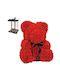 Rose Bear Αρκουδακι Κοκκινο 25cm