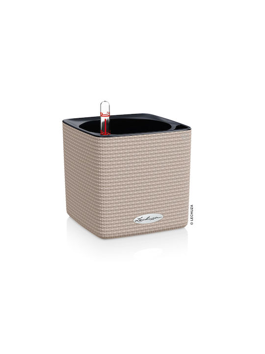 Cube SelfWatering System Pot Plastic Brown 14x14x13.5cm.