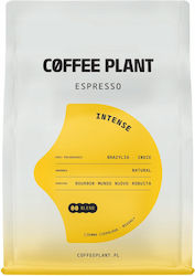 Coffee Plant Espresso σε Κόκκους 250gr Coffee Plant Espresso σε Κόκκους 250gr