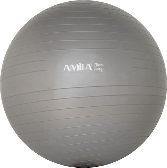 AMILA Μπάλα Pilates 75cm σε Ασημί Χρώμα