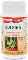 Sulfina 40 Capsule Favisan
