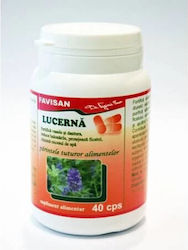 Lucerna 40 Capsule Favisan