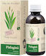 Sirop de Pătlagină 200ml Dacia Plant