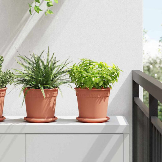 vidaXL Set of 6 Plastic Flower Pots Terracotta