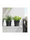 vidaXL Set 6 Ghivece Plastice Negru