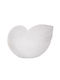 Iliadis Decorative Seashell made of Ceramic Material 41x24x27.5cm 1pcs