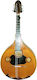 Acoustic Mandolin