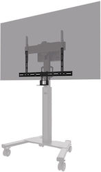 Neomounts Tv Monitor Mount Neomounts Av50-500bl Ptz Uc Camera Shelf Kit 43-110" Vesa Max 5 Kg Universal Black