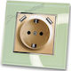 Lineme Power Socket with 2 USB Ports Gold 1pcs