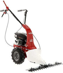 Eurosystems Pe benzină Tăietor de iarbă 3hp Eurosystems Pe benzină Tăietor de iarbă 3hp