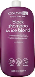 ING Shampoo Color Retention 1000ml