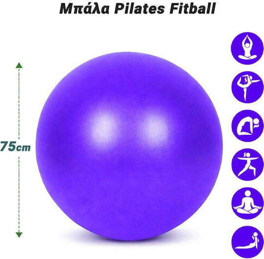 Fitball Μπάλα Pilates 75cm σε Μωβ Χρώμα