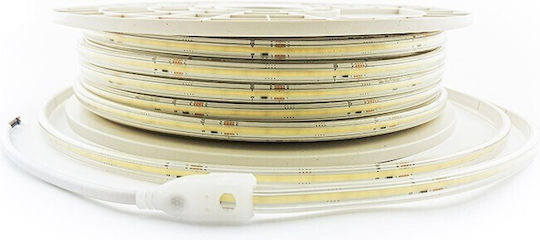 Vito Waterproof LED Strip 220V Adjustable White Light 50m Type COB